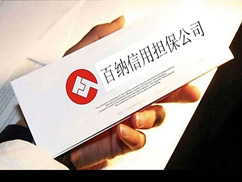-百納信用擔保公司