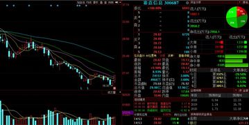 金股預測晚間版 軟件開發及維護領域聚焦，正平股份等3股后市上漲概率超70%