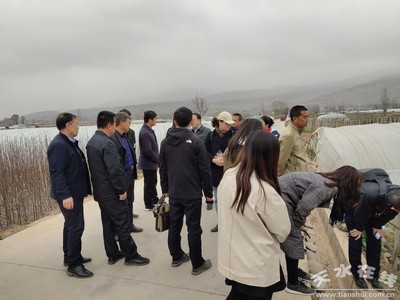 鄭州商品交易所深入天水開(kāi)展馬鈴薯產(chǎn)業(yè)調(diào)研，助力期貨市場(chǎng)服務(wù)鄉(xiāng)村振興